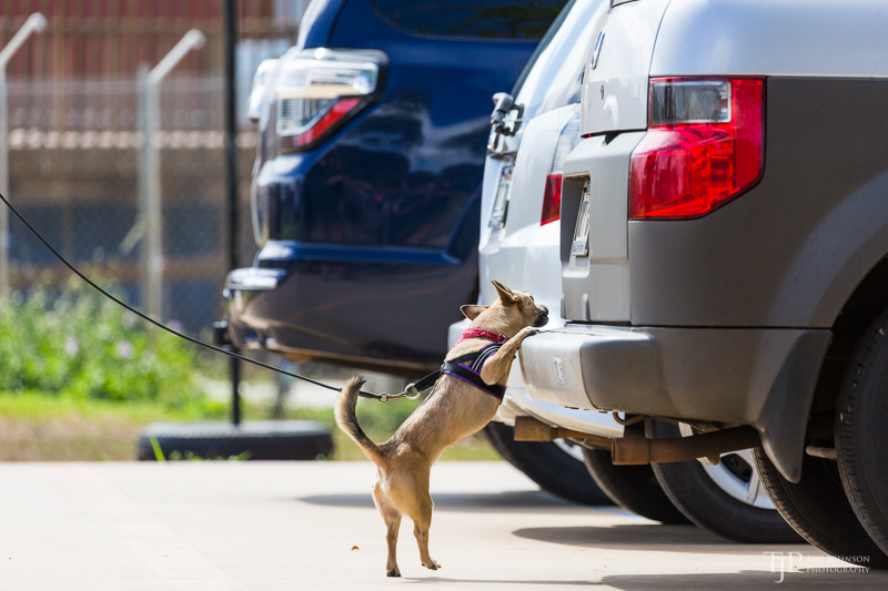 Image Name: _23A7176