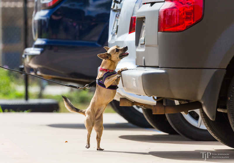 Image Name: _23A7182