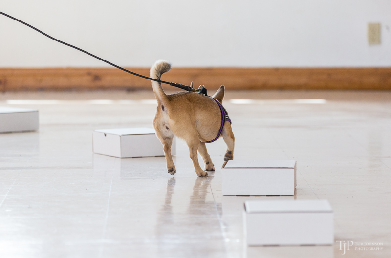 Image Name: _23A7195