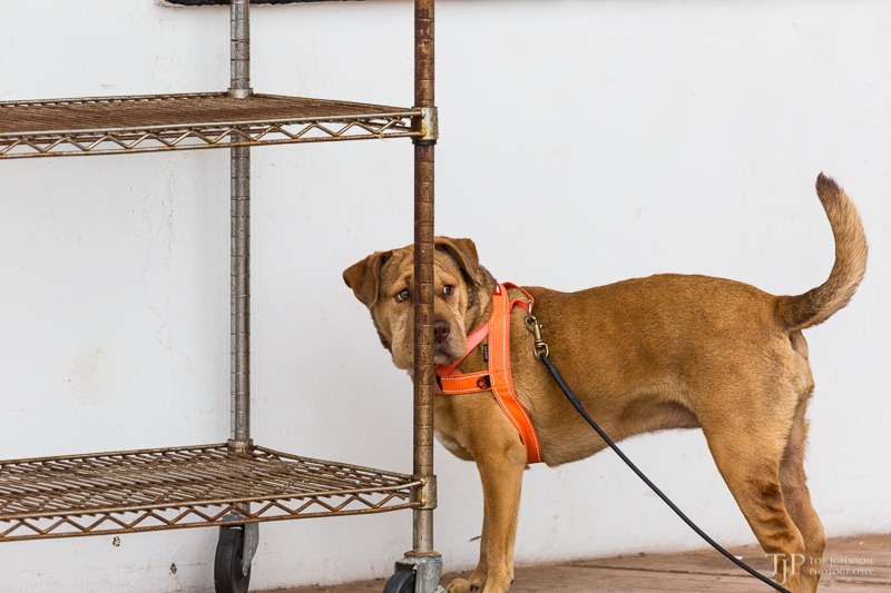 Image Name: _23A7221