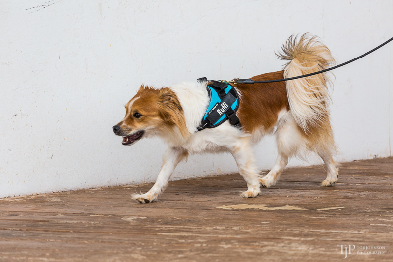 Image Name: _23A7269