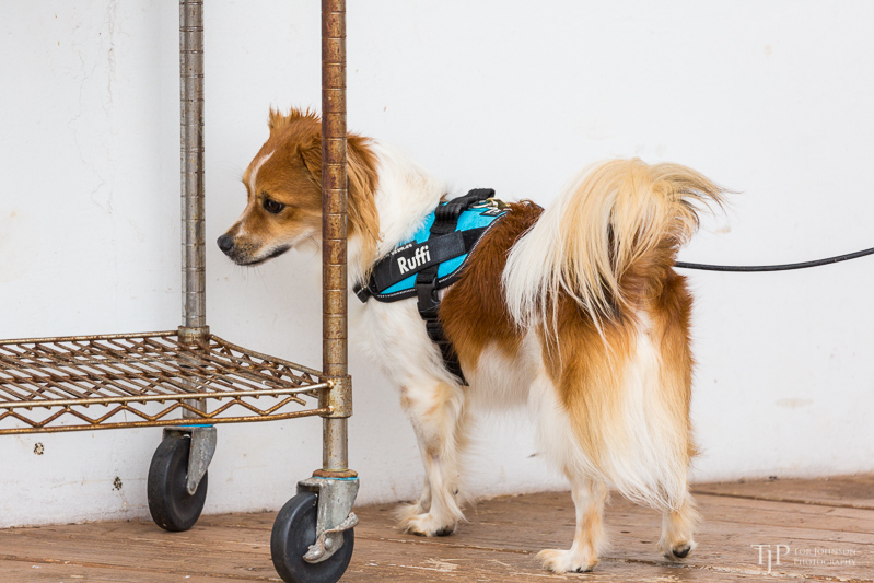 Image Name: _23A7271