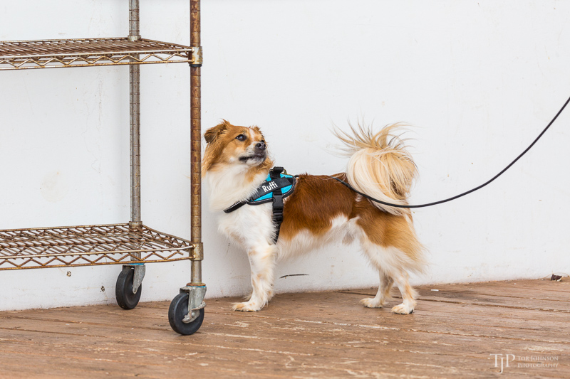 Image Name: _23A7272