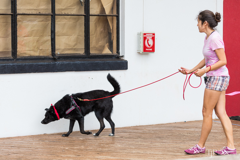 Image Name: _23A7278