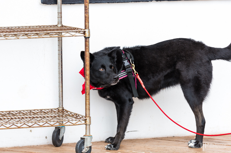 Image Name: _23A7280