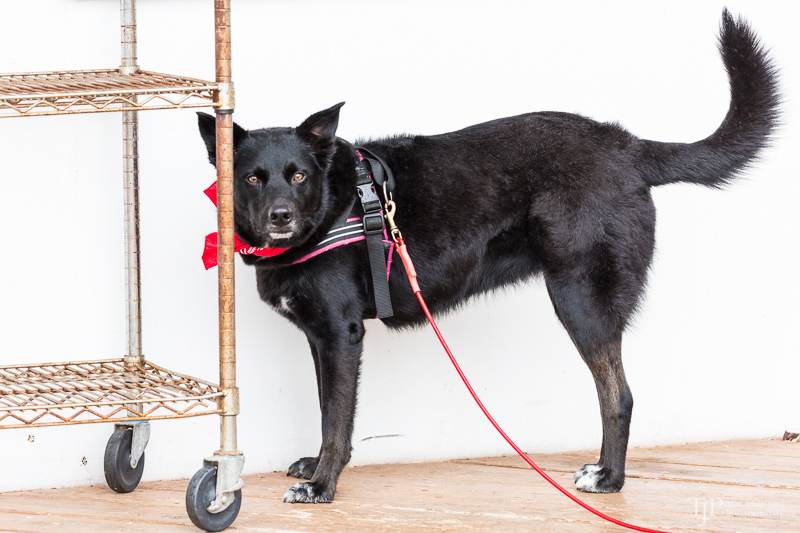 Image Name: _23A7282