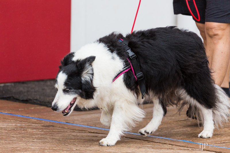 Image Name: _23A7287