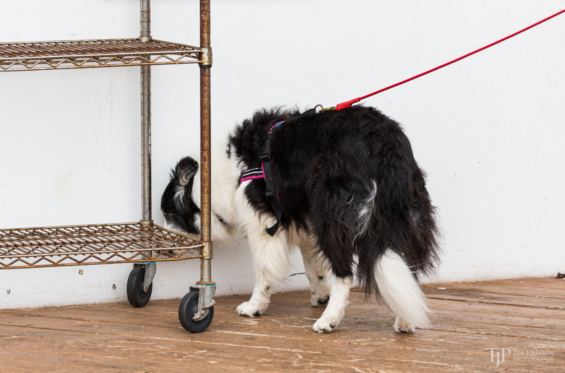 Image Name: _23A7288