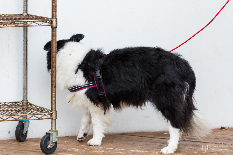 Image Name: _23A7289