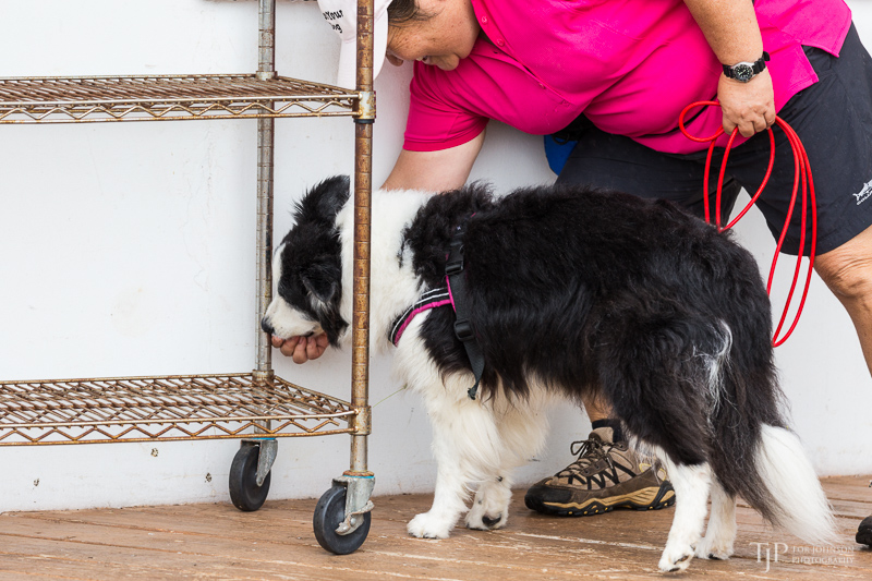 Image Name: _23A7290