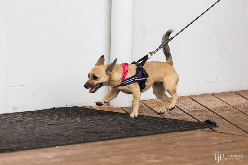 Image Name: _23A7295