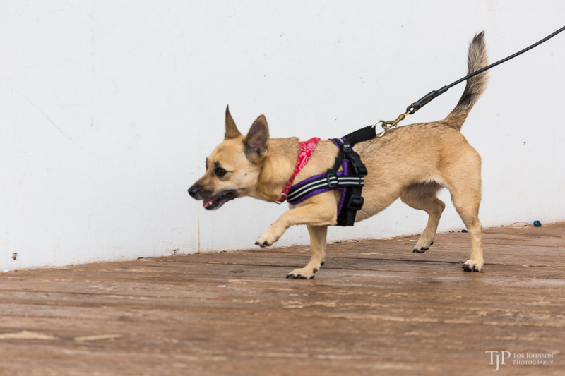 Image Name: _23A7296