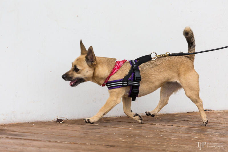 Image Name: _23A7297