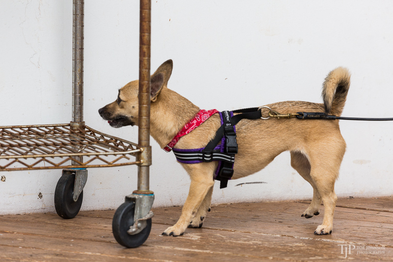 Image Name: _23A7298