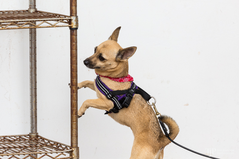 Image Name: _23A7299