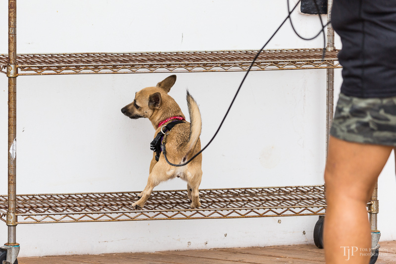 Image Name: _23A7301