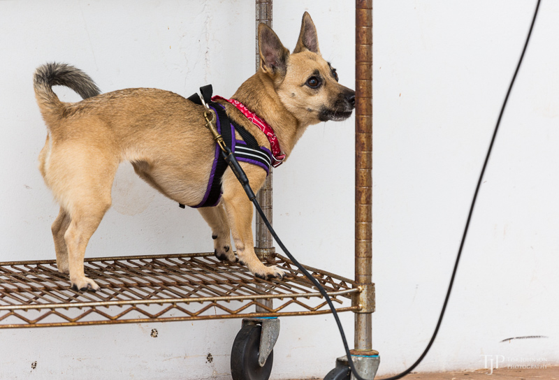 Image Name: _23A7306