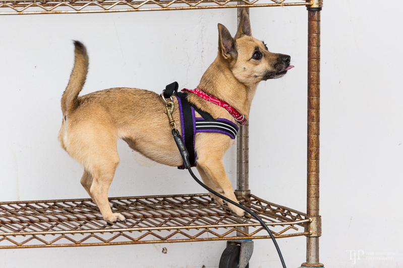 Image Name: _23A7309