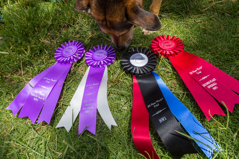 Image Name: _23A7377