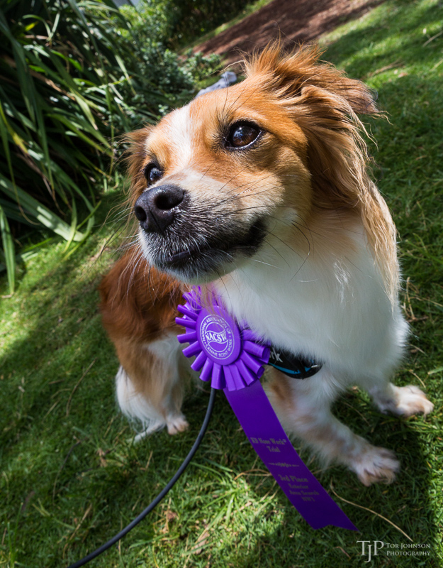 Image Name: _23A7390