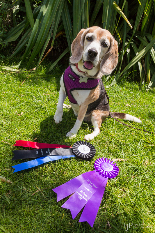 Image Name: _23A7405