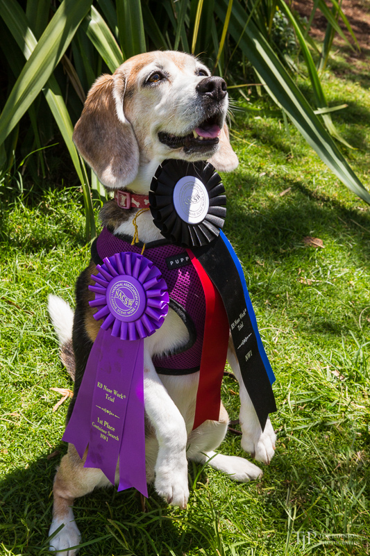 Image Name: _23A7413