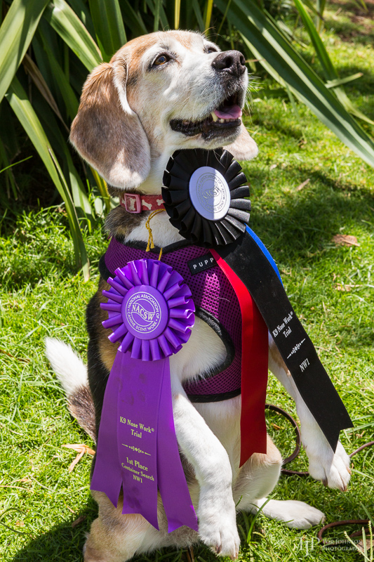 Image Name: _23A7416