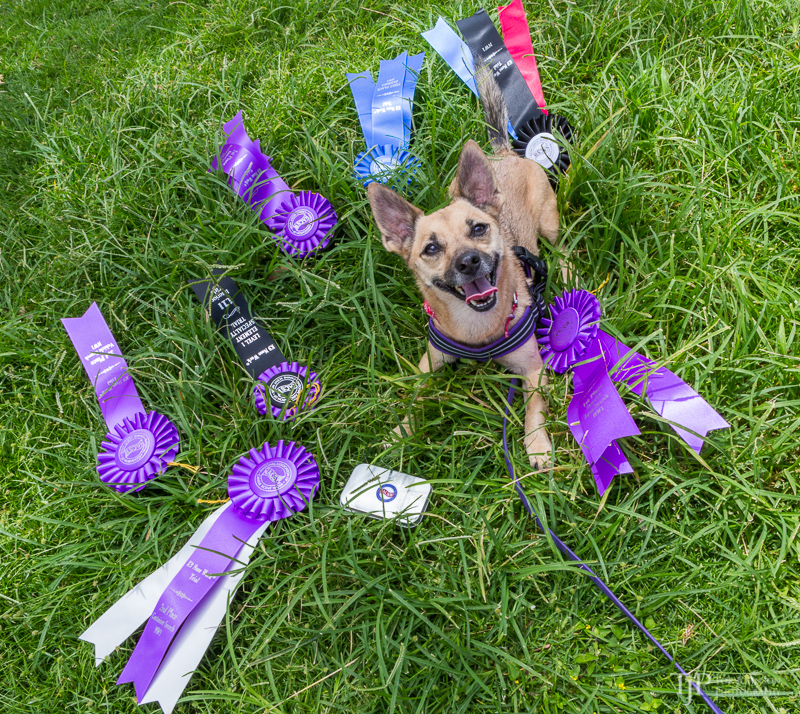 Image Name: _23A7475