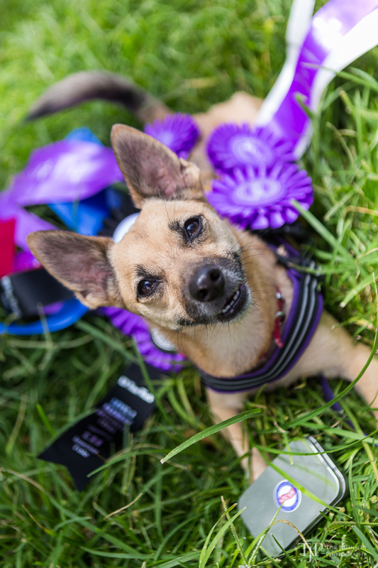 Image Name: _23A7495