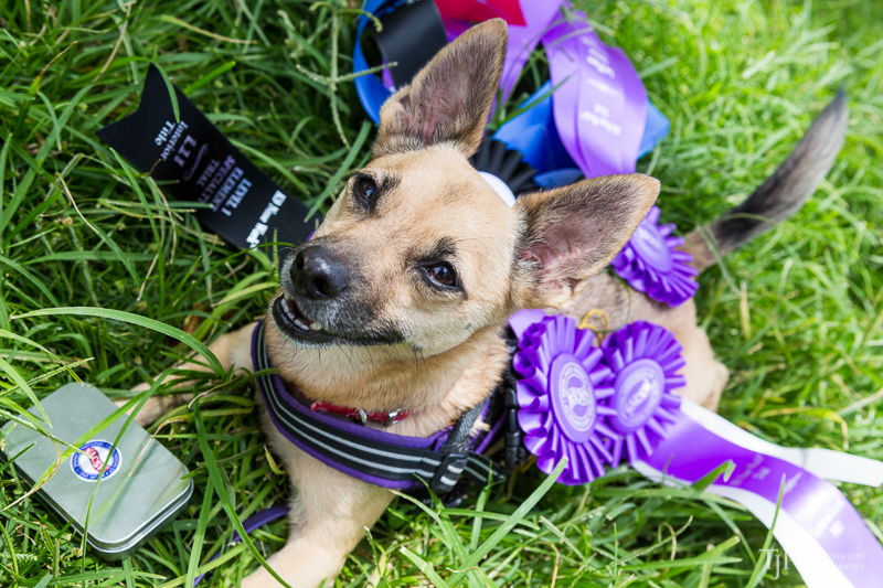 Image Name: _23A7499