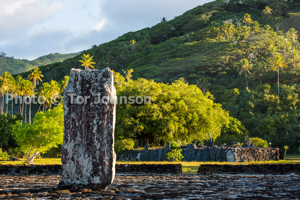 Image Name: N40A5059