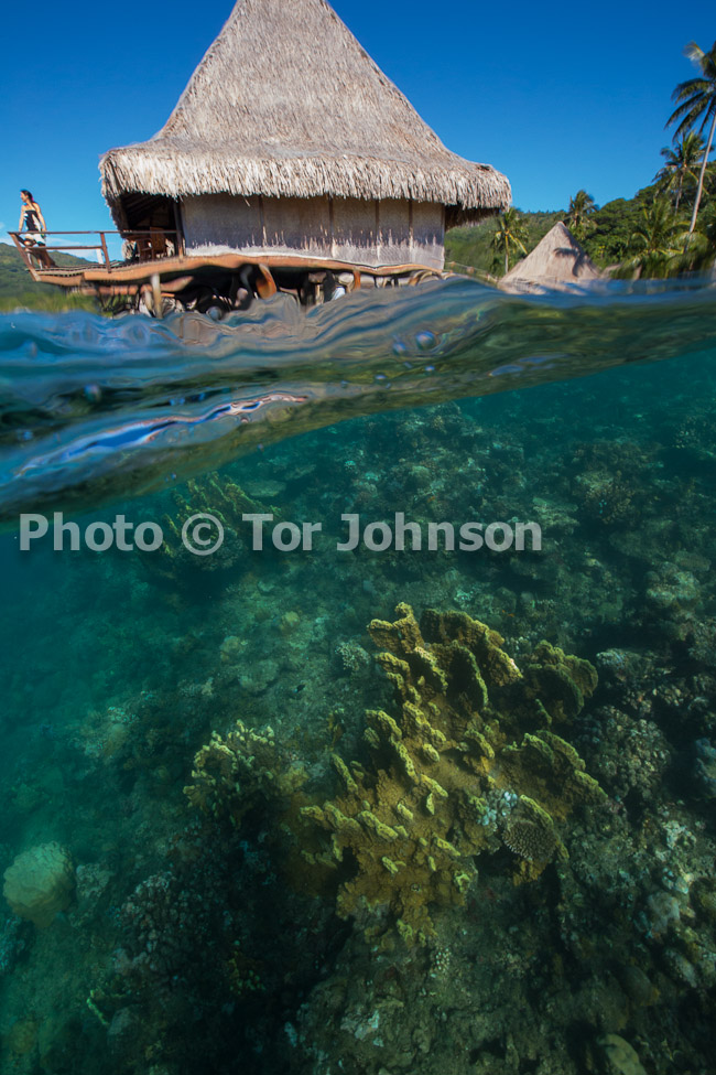 Image Name: N40A5269