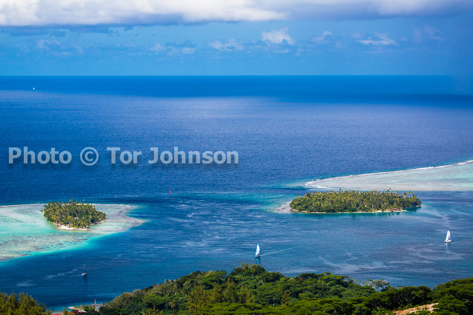 Image Name: N40A5908