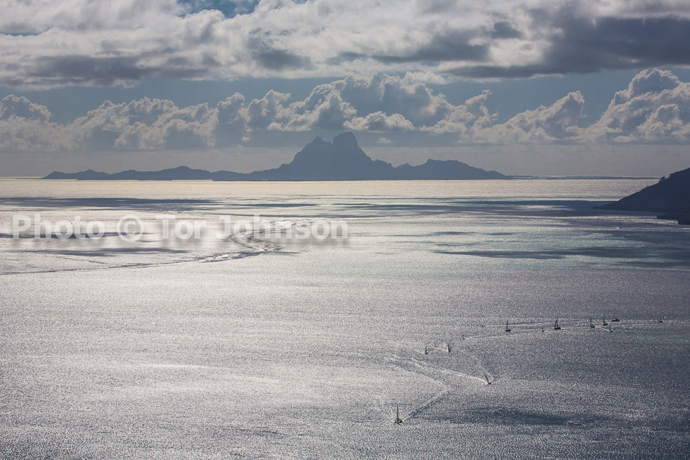 Image Name: N40A5952