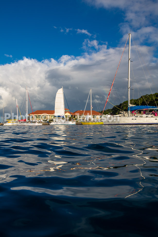 Image Name: N40A5965