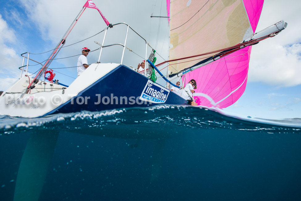 Image Name: N40A6264