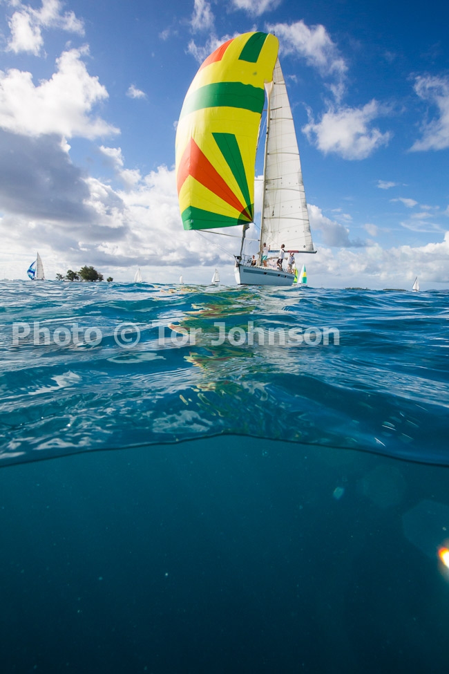 Image Name: N40A6350