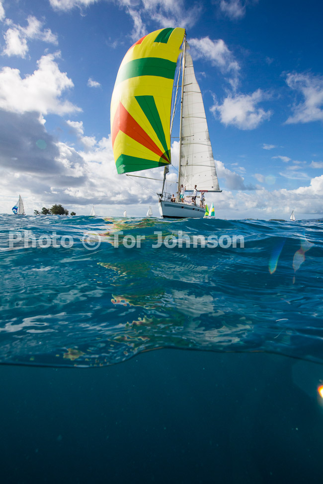 Image Name: N40A6352