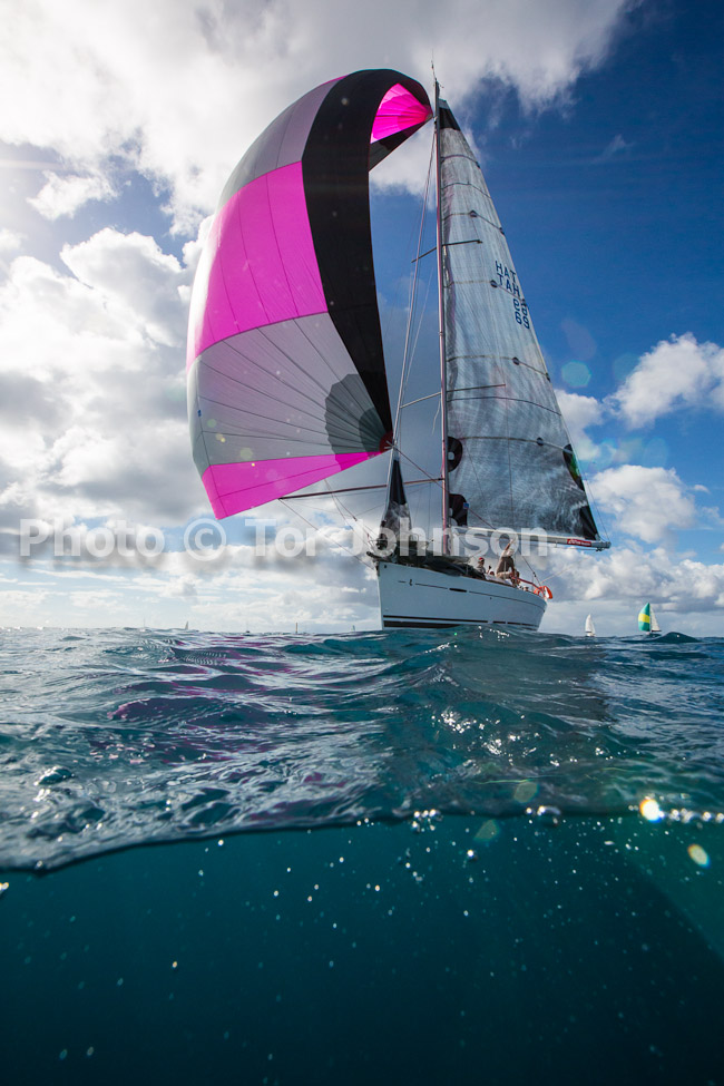 Image Name: N40A6402