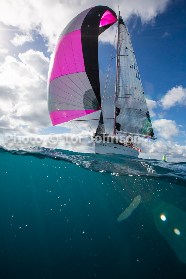 Image Name: N40A6404