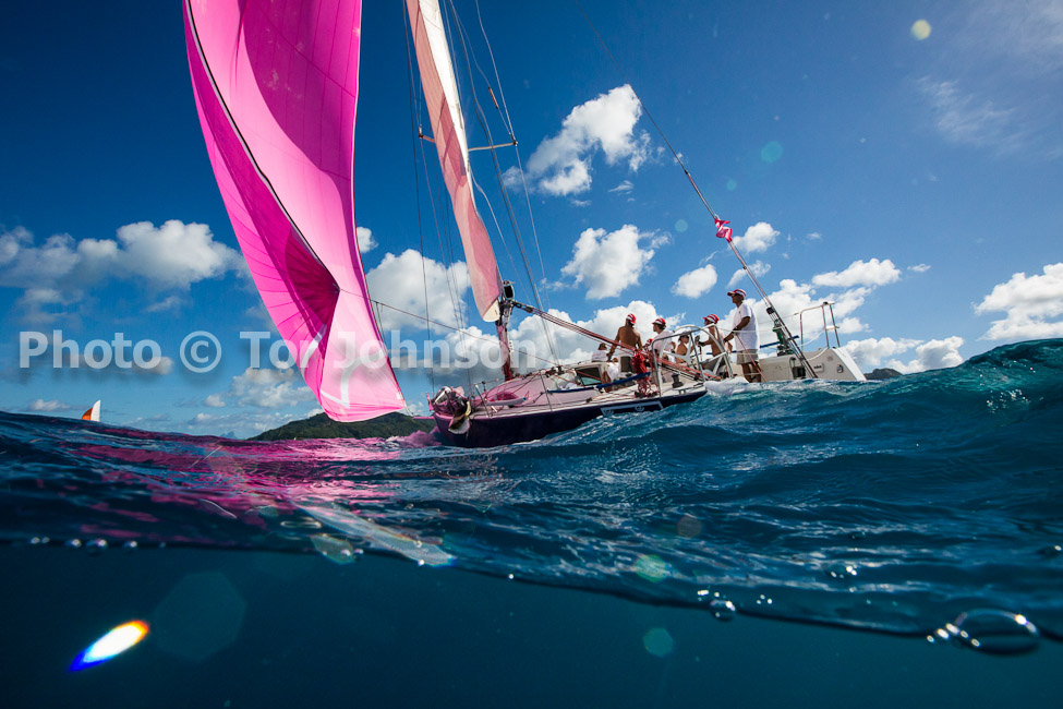 Image Name: N40A6513