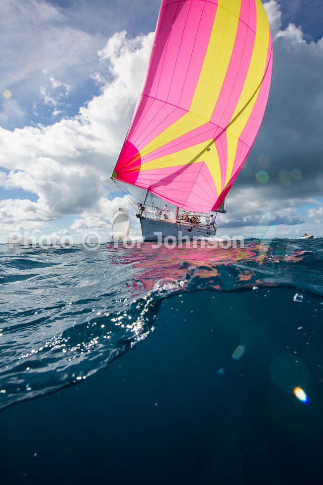 Image Name: N40A6517