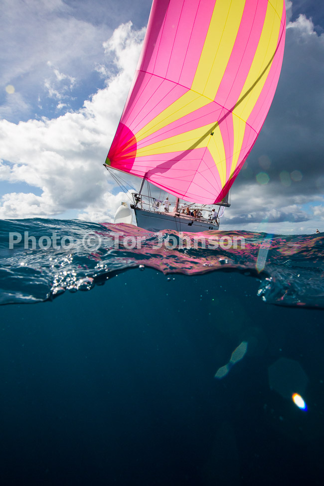 Image Name: N40A6519