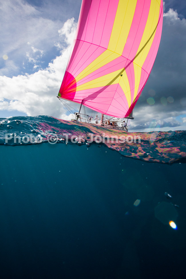 Image Name: N40A6520