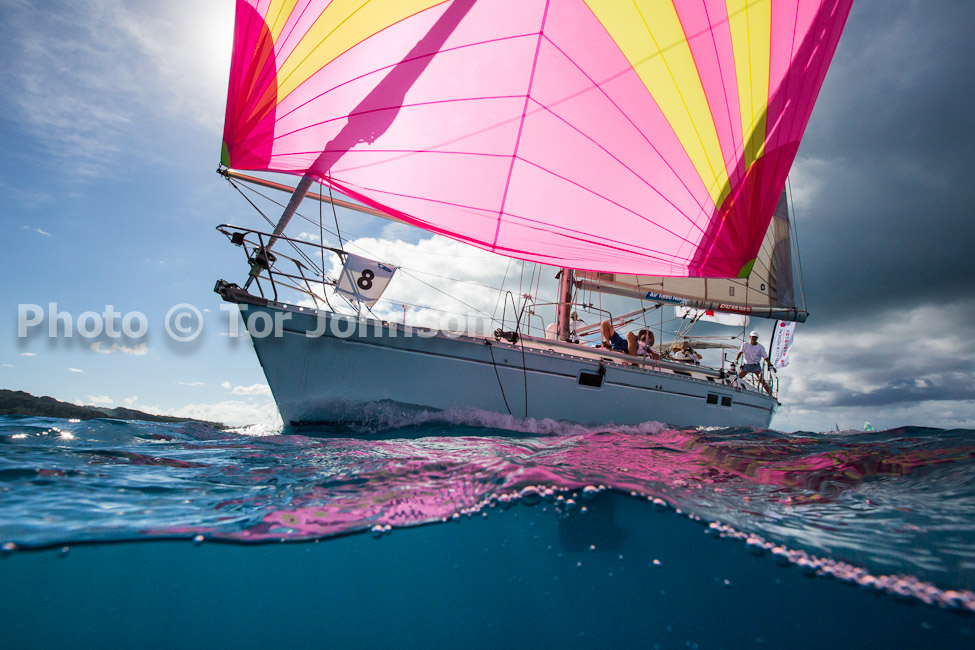 Image Name: N40A6521