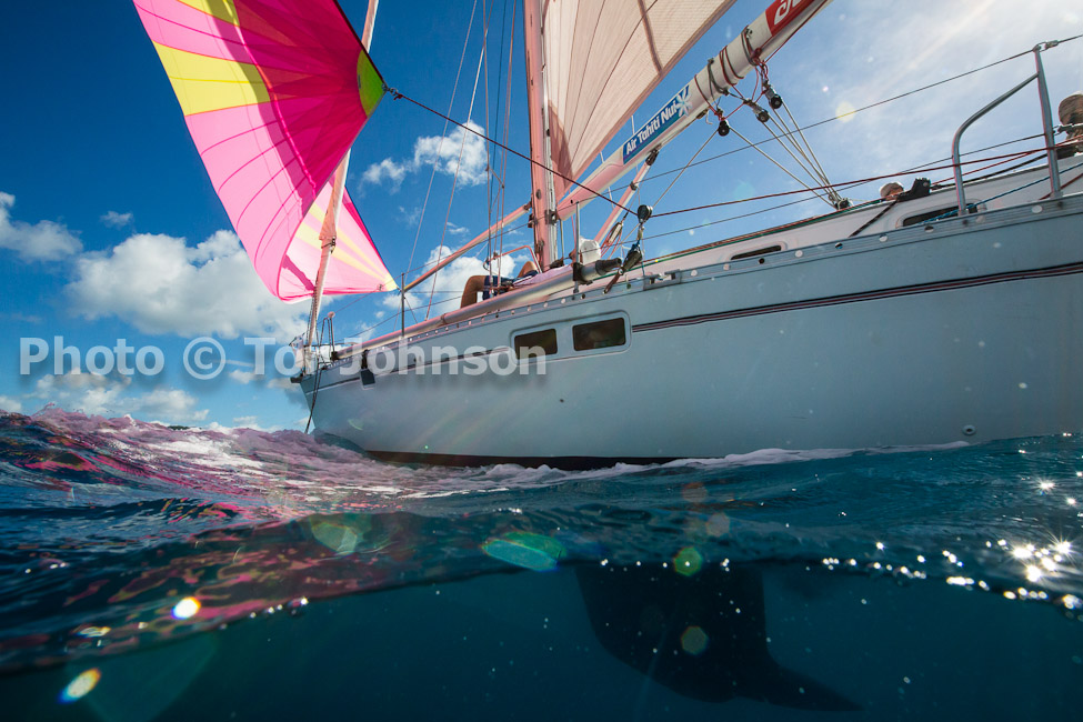 Image Name: N40A6526