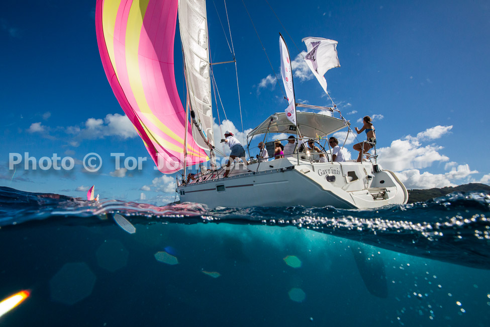 Image Name: N40A6529