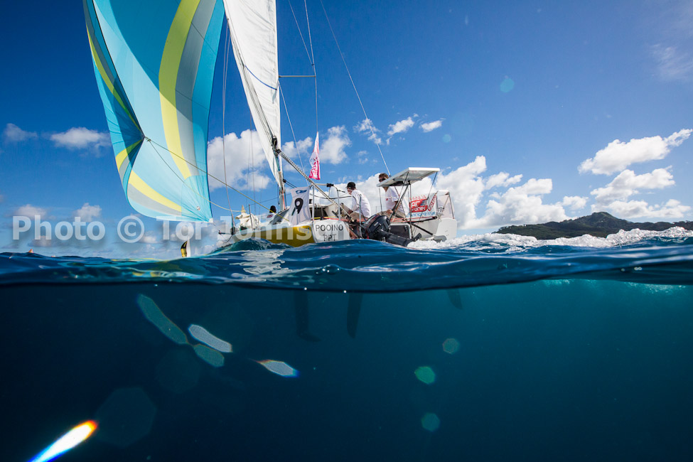 Image Name: N40A6542