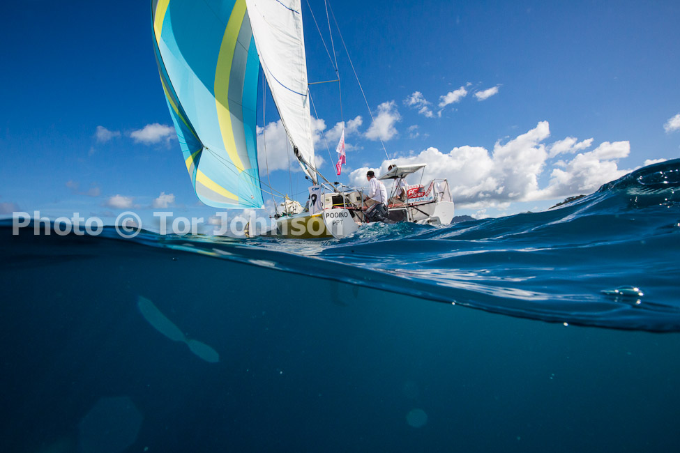 Image Name: N40A6545