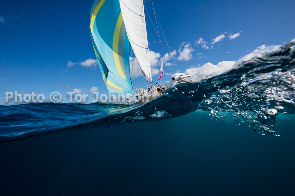 Image Name: N40A6546